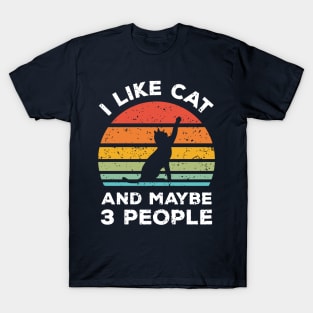 I Like Cat and Maybe 3 People, Retro Vintage Sunset with Style Old Grainy Grunge Texture T-Shirt